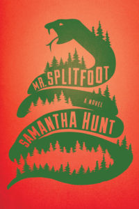  Mr. Splitfoot epub