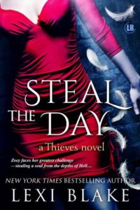 Steal the Day epub