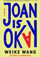 Joan Is Okay A Novel epub